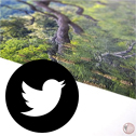18 vues de Kyoto Twitter